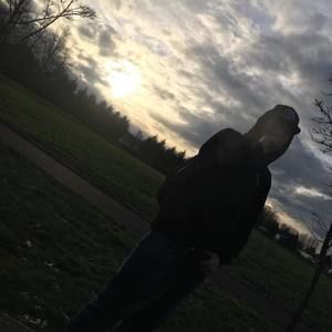 Meet your Posher, Riley